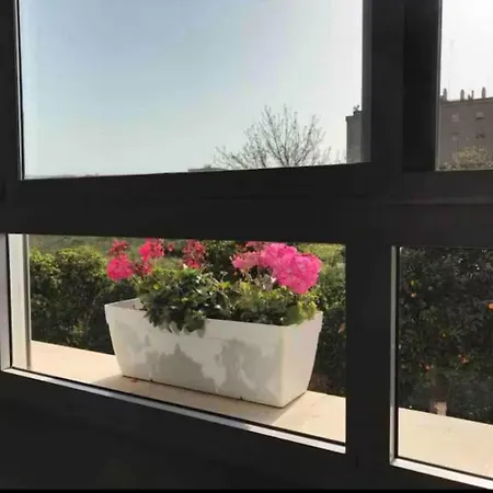 Individual Con Bano Privado En Piso De Lujo Homestay *